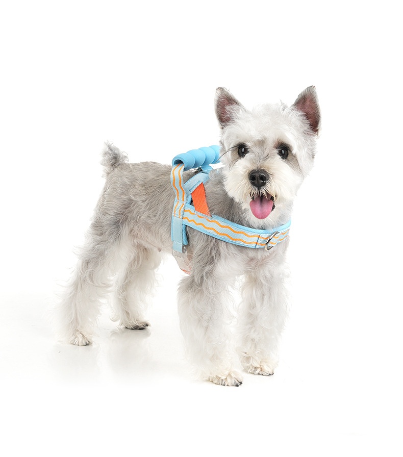 Comfort Padded Dog Harness & Leash Set - Adjustable & Reflective