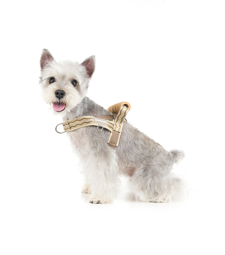 Comfort Padded Dog Harness & Leash Set - Adjustable & Reflective
