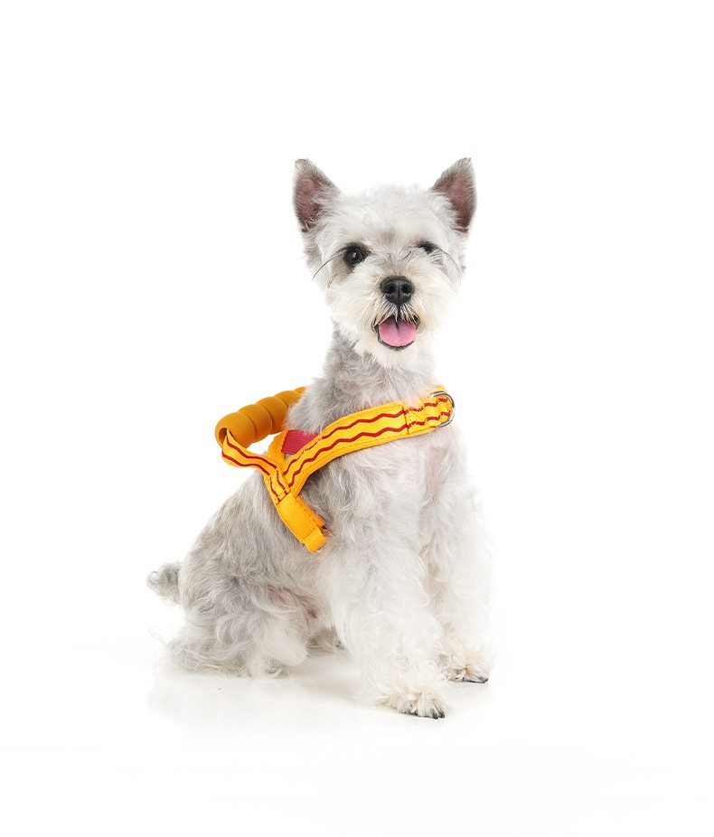 Comfort Padded Dog Harness & Leash Set - Adjustable & Reflective
