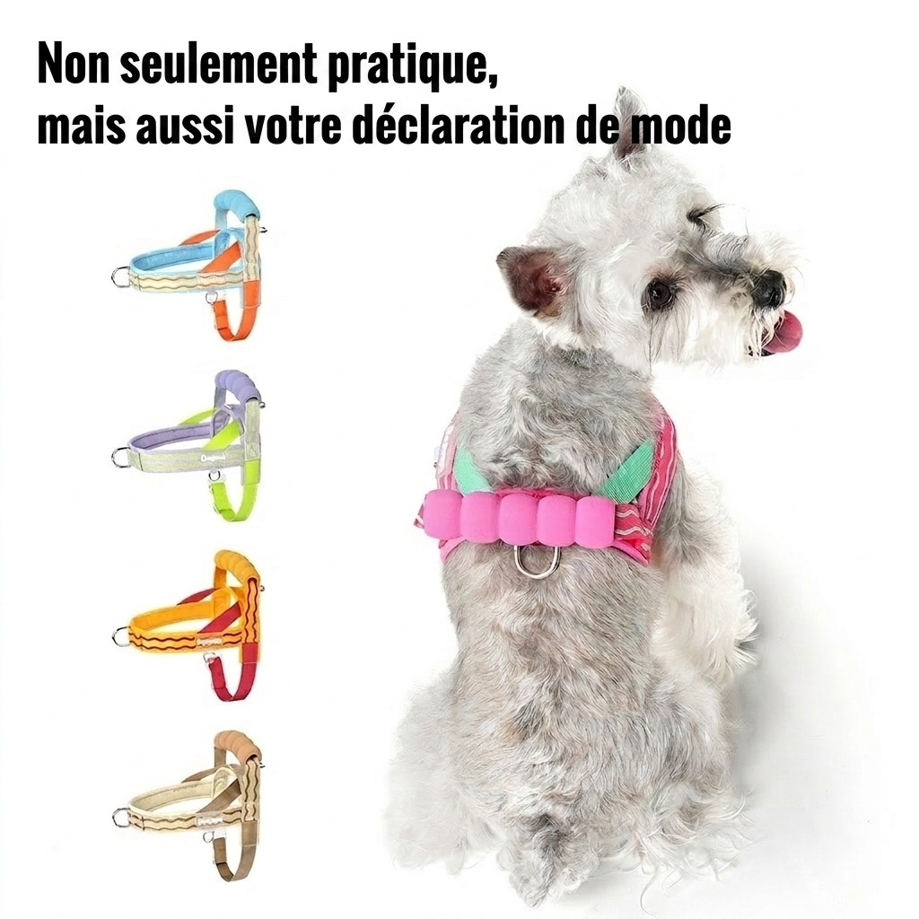 Comfort Padded Dog Harness & Leash Set - Adjustable & Reflective