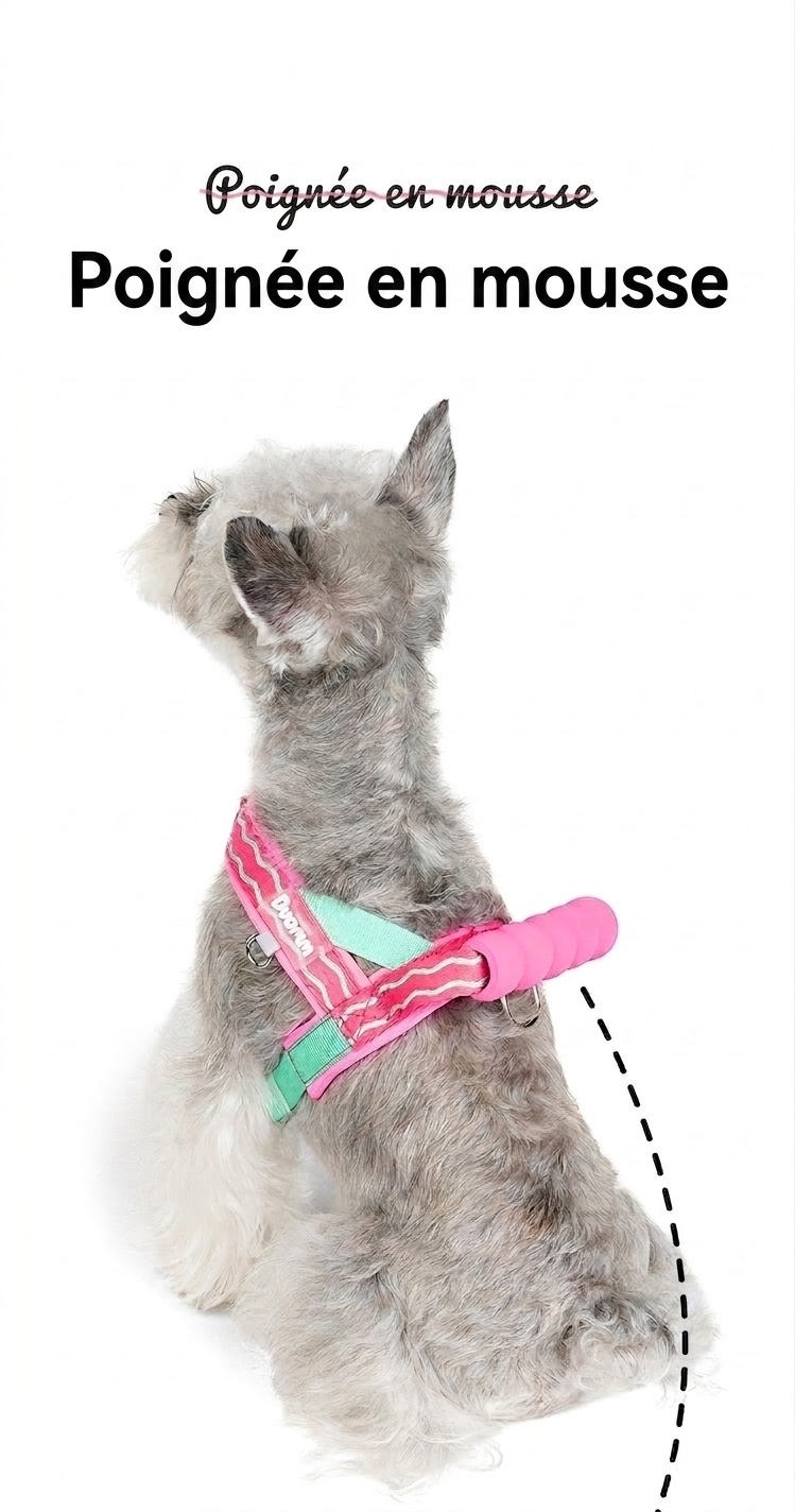 Comfort Padded Dog Harness & Leash Set - Adjustable & Reflective