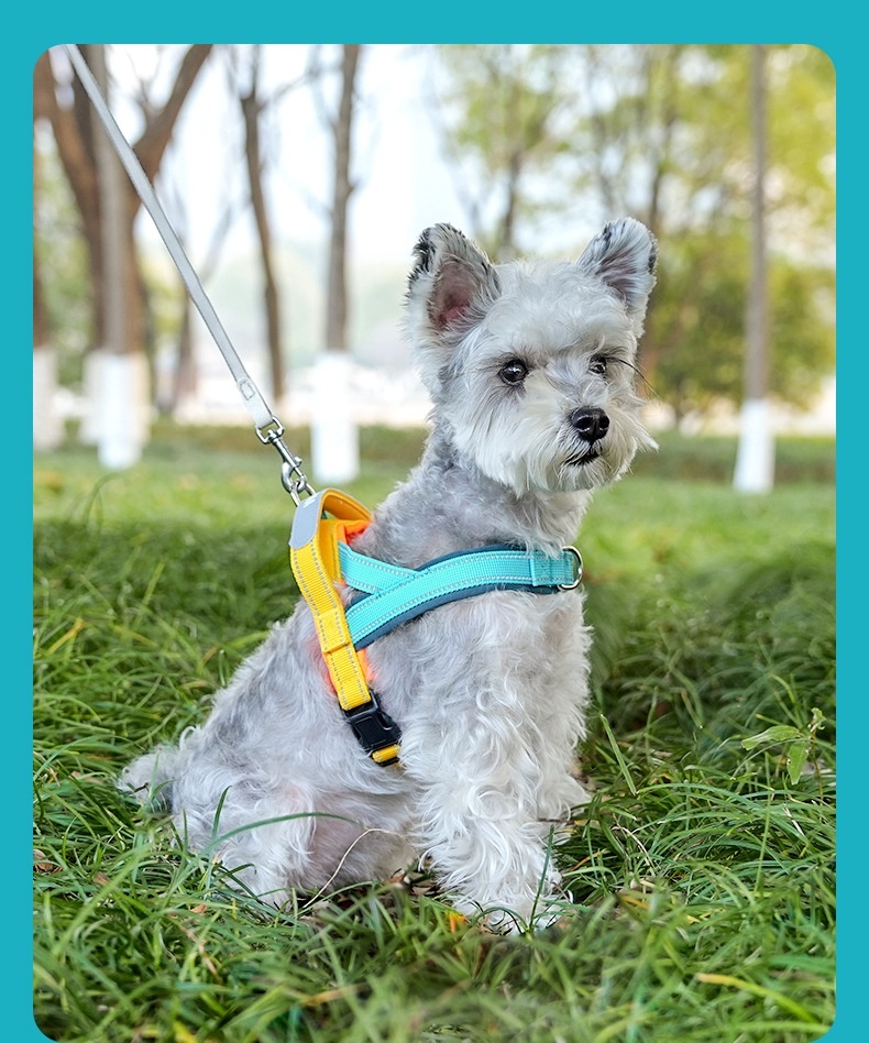 T-Style Anti-Pull Dog Harness - Lightweight Reflective Pet Vest