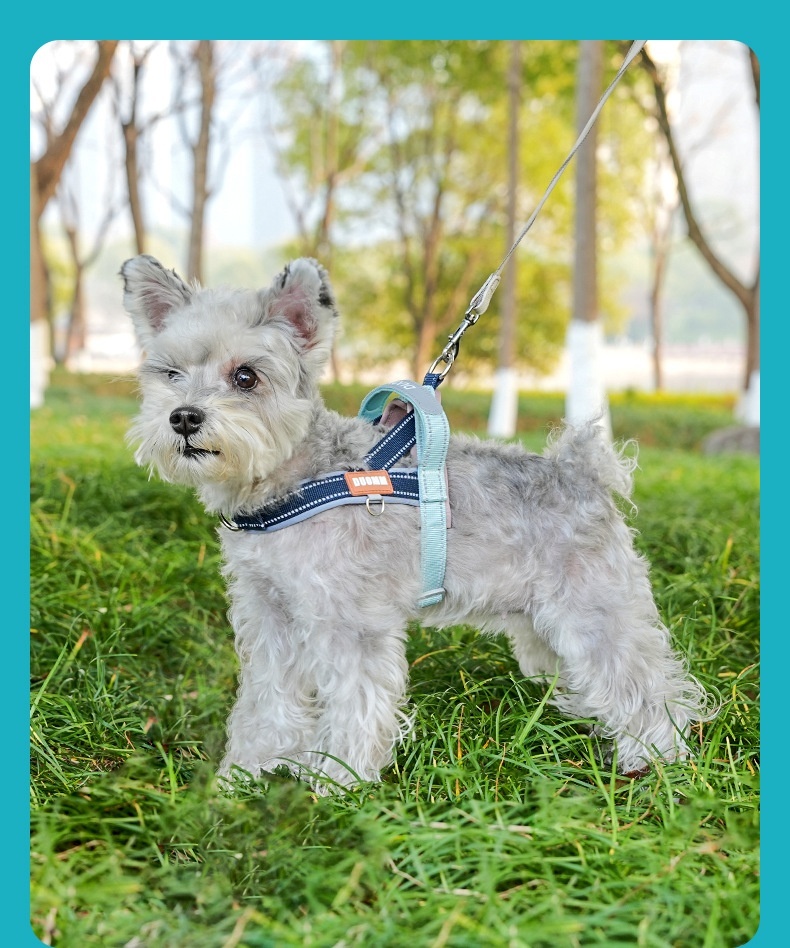 T-Style Anti-Pull Dog Harness - Lightweight Reflective Pet Vest
