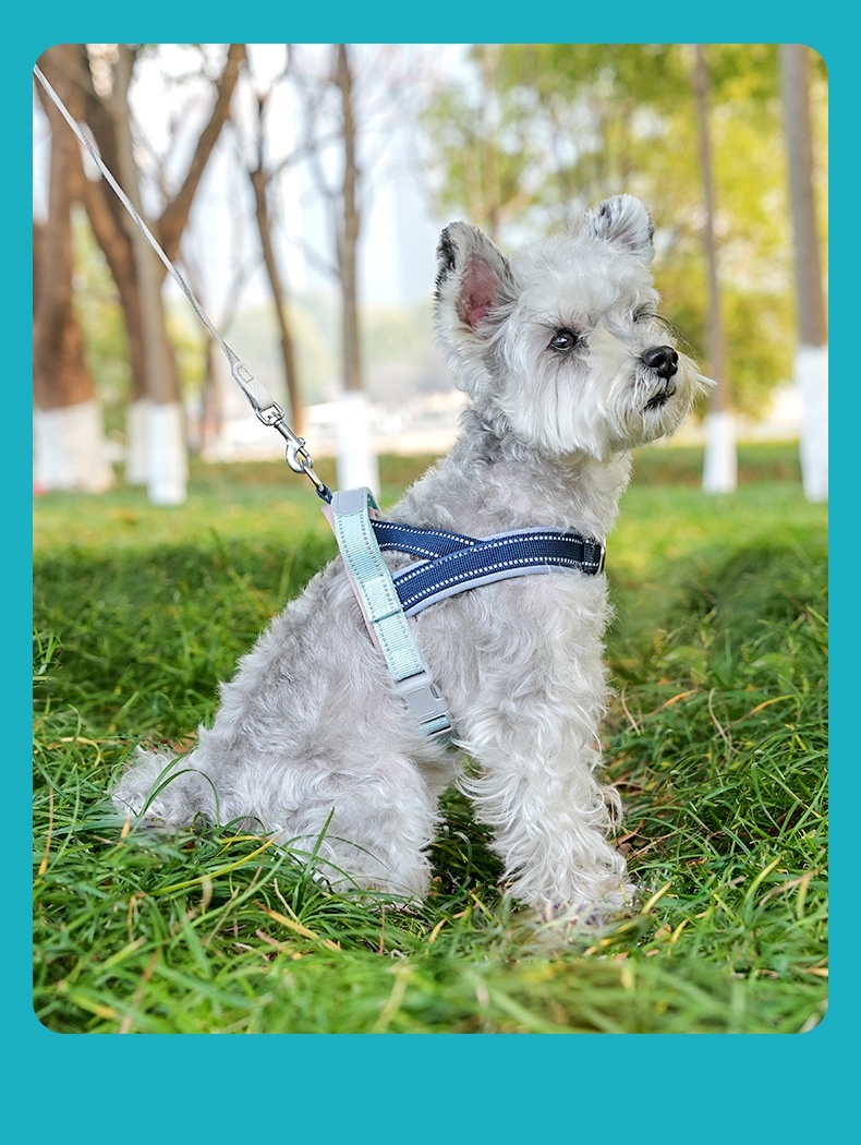 T-Style Anti-Pull Dog Harness - Lightweight Reflective Pet Vest