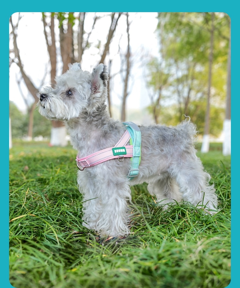 T-Style Anti-Pull Dog Harness - Lightweight Reflective Pet Vest