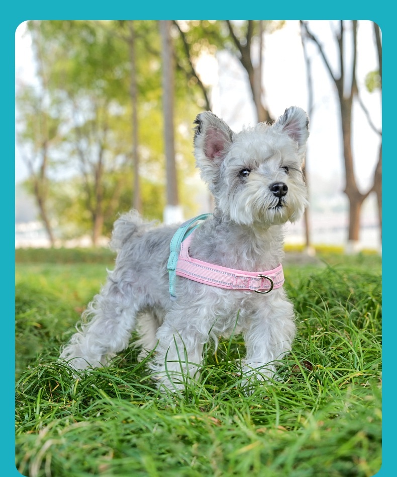 T-Style Anti-Pull Dog Harness - Lightweight Reflective Pet Vest