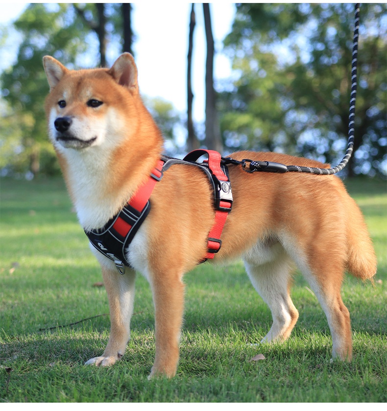 No-Pull Dog Harness with Reflective Straps & Adjustable Fit