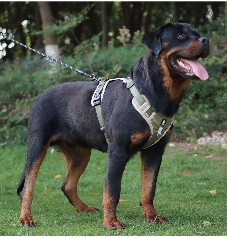 No-Pull Dog Harness with Reflective Straps & Adjustable Fit