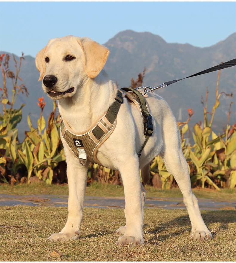 No-Pull Dog Harness with Reflective Straps & Adjustable Fit