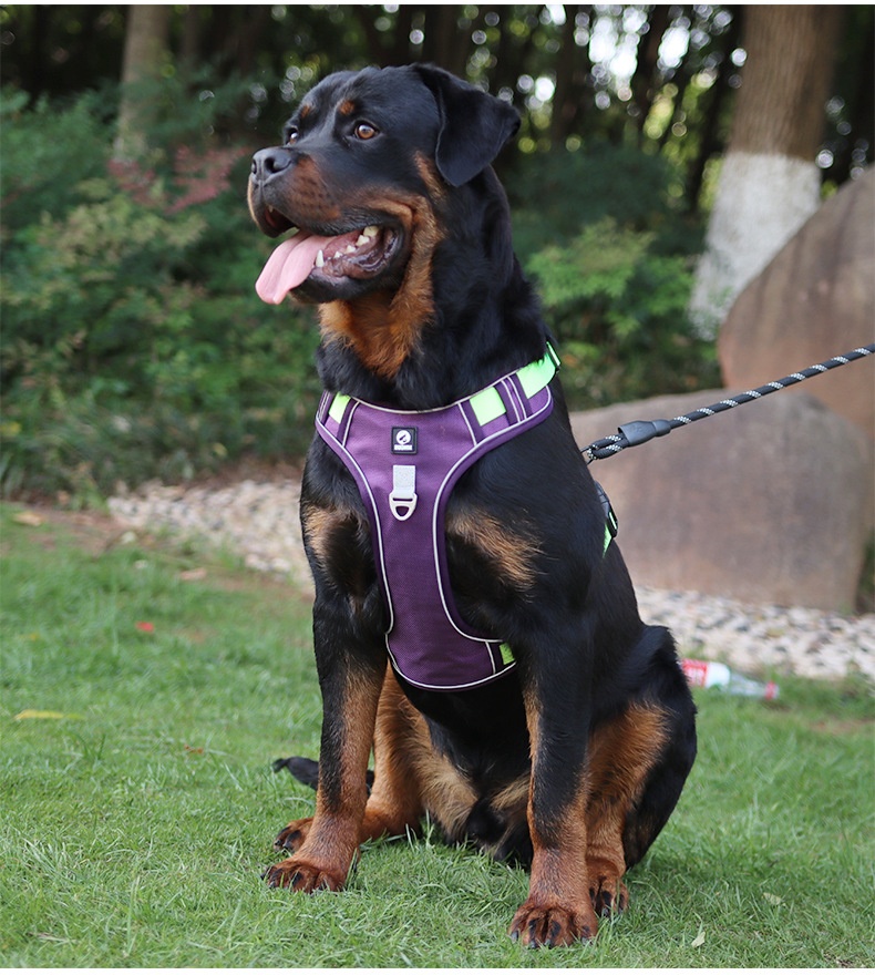 No-Pull Dog Harness with Reflective Straps & Adjustable Fit