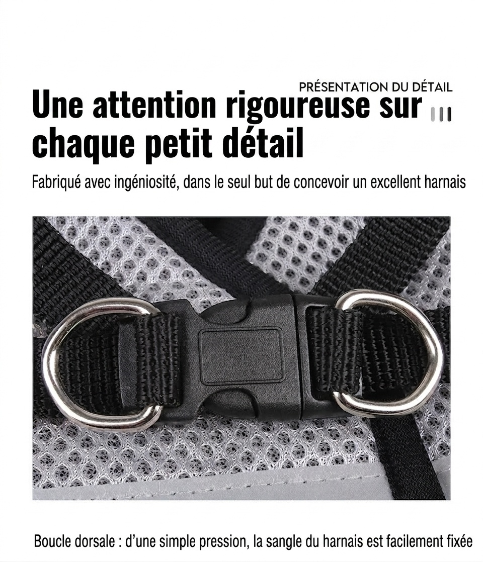 Breathable Mesh Pet Harness & Leash Set - Reflective Safety
