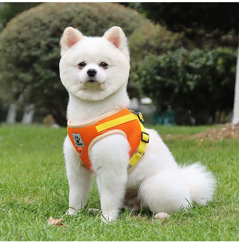 Breathable Mesh Pet Harness & Leash Set - Reflective Safety