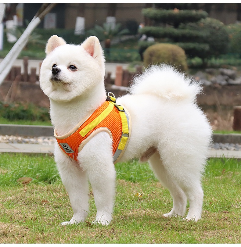 Breathable Mesh Pet Harness & Leash Set - Reflective Safety