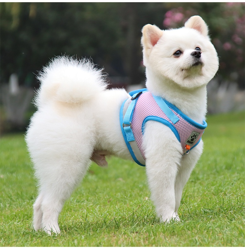 Breathable Mesh Pet Harness & Leash Set - Reflective Safety