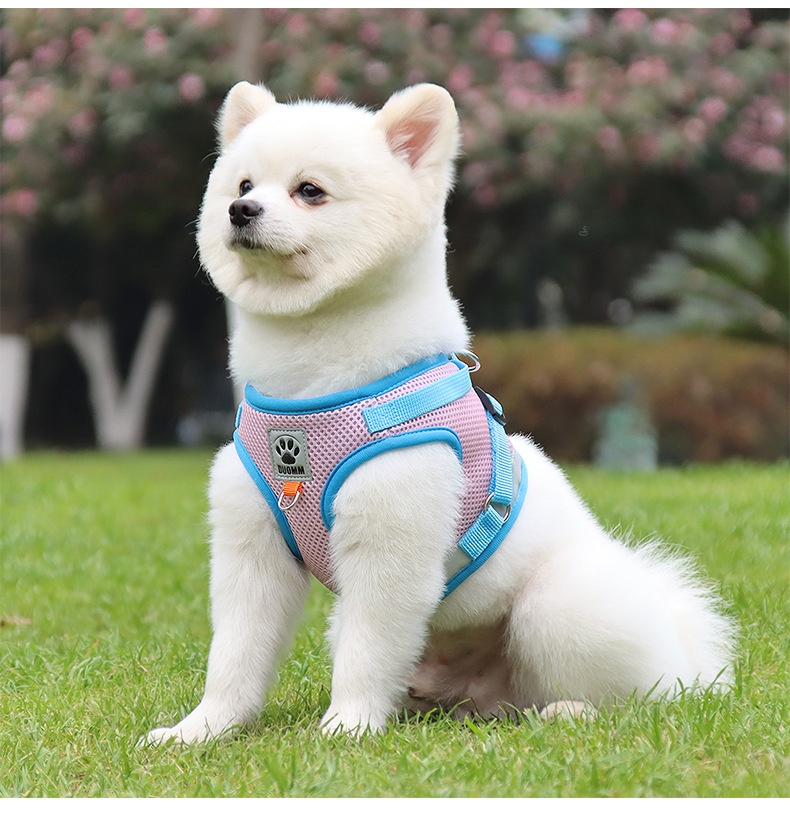 Breathable Mesh Pet Harness & Leash Set - Reflective Safety