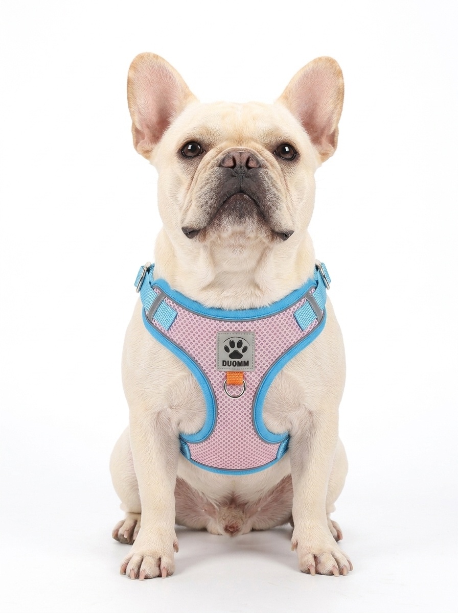 Breathable Mesh Pet Harness & Leash Set - Reflective Safety