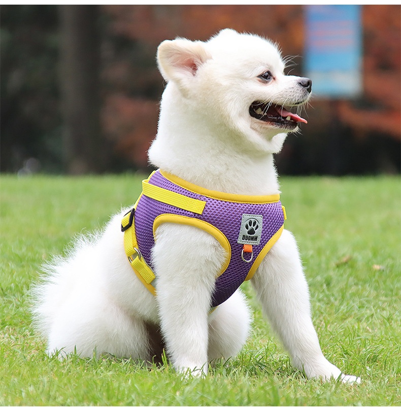 Breathable Mesh Pet Harness & Leash Set - Reflective Safety