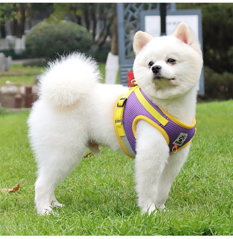 Breathable Mesh Pet Harness & Leash Set - Reflective Safety