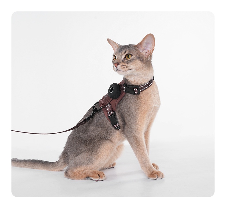 Anti-Escape Cat Harness & Leash Set with GPS Tracker Holder