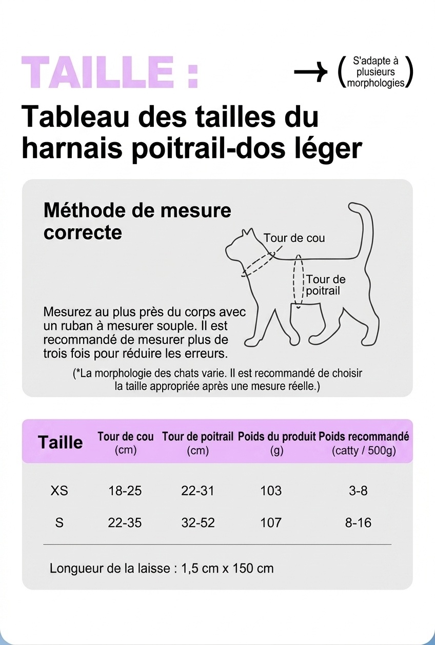 Harnais et laisse anti-fugue pour chat avec support pour traceur GPS