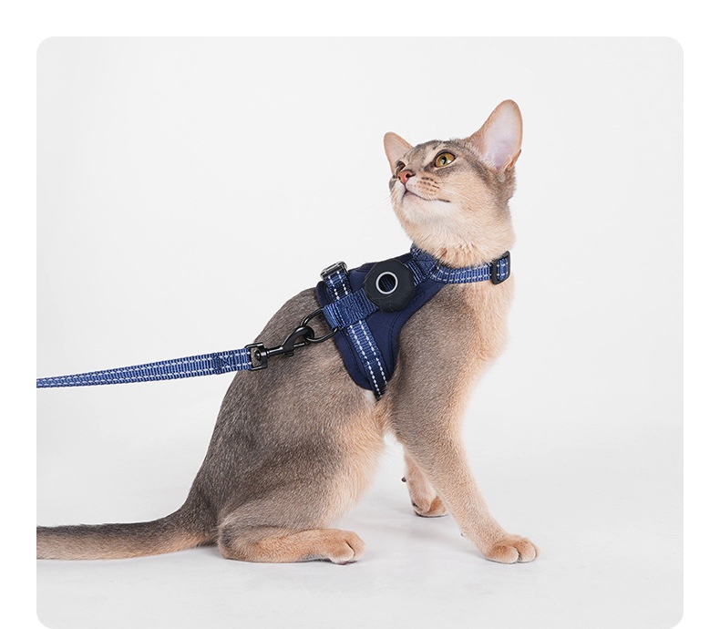Anti-Escape Cat Harness & Leash Set with GPS Tracker Holder