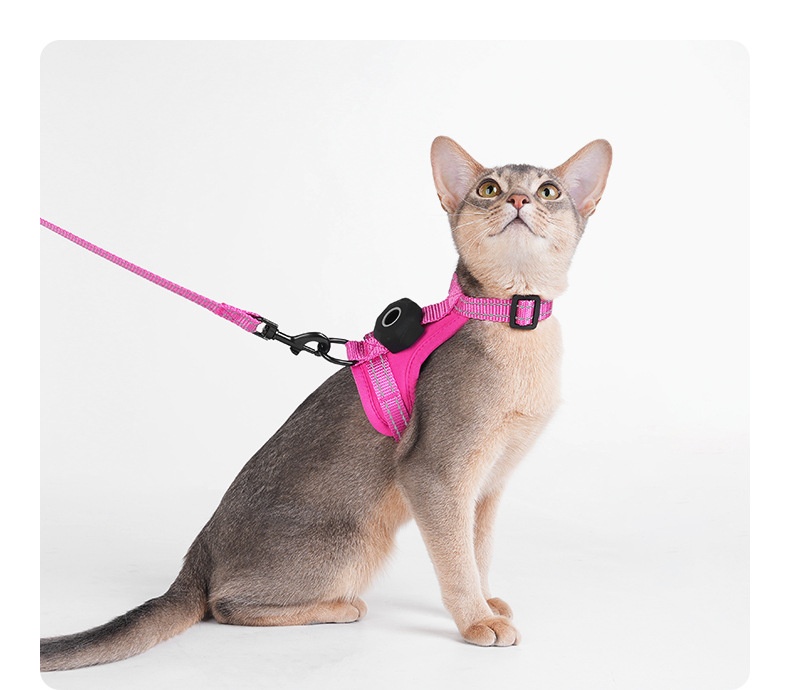 Anti-Escape Cat Harness & Leash Set with GPS Tracker Holder