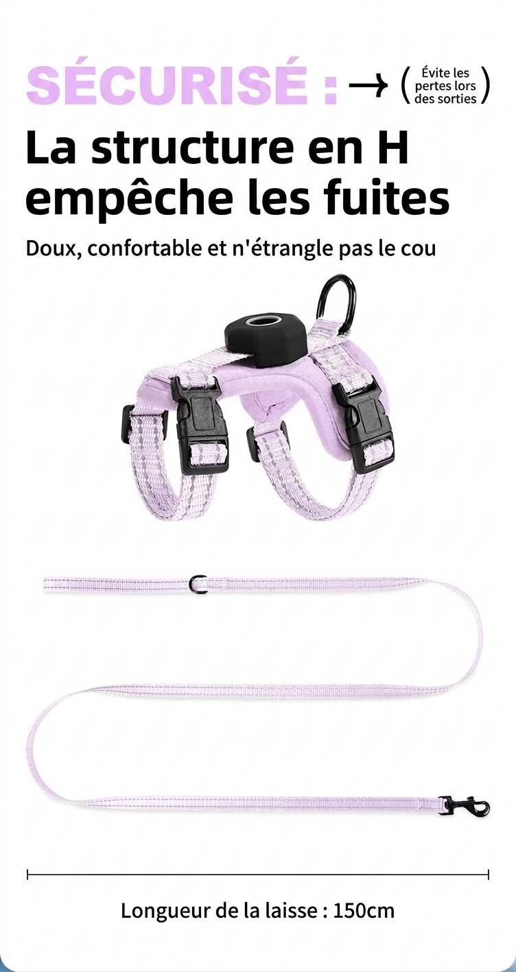 Harnais et laisse anti-fugue pour chat avec support pour traceur GPS