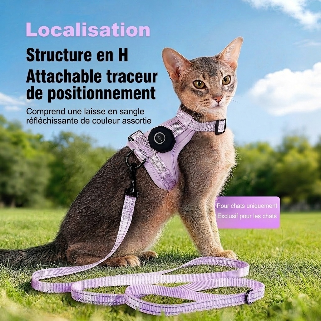 Harnais et laisse anti-fugue pour chat avec support pour traceur GPS