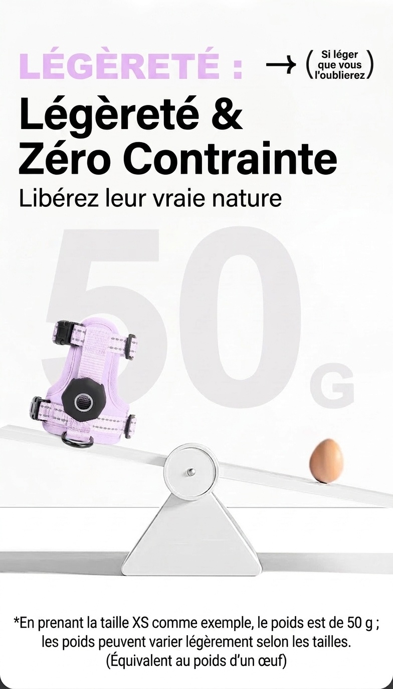 Harnais et laisse anti-fugue pour chat avec support pour traceur GPS