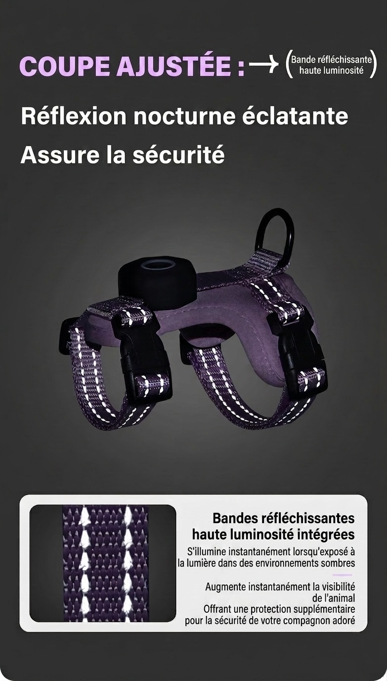 Harnais et laisse anti-fugue pour chat avec support pour traceur GPS