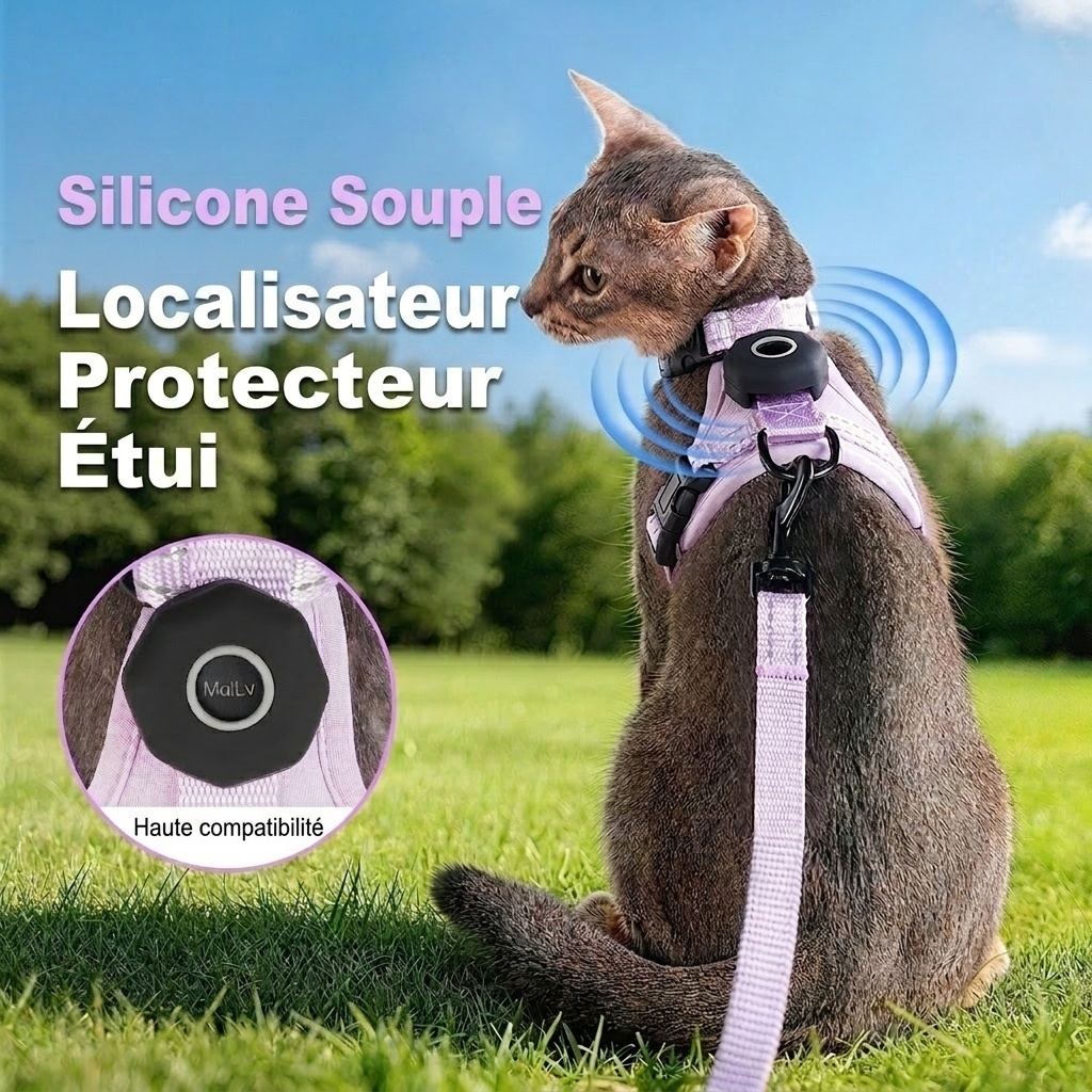 Harnais et laisse anti-fugue pour chat avec support pour traceur GPS