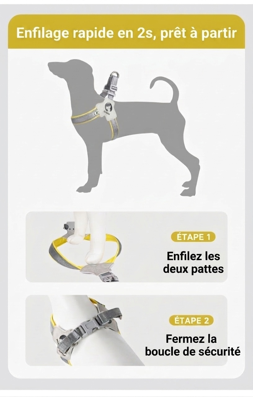 Harnais réfléchissant en forme de Y anti-traction pour chiens de petite et grande taille