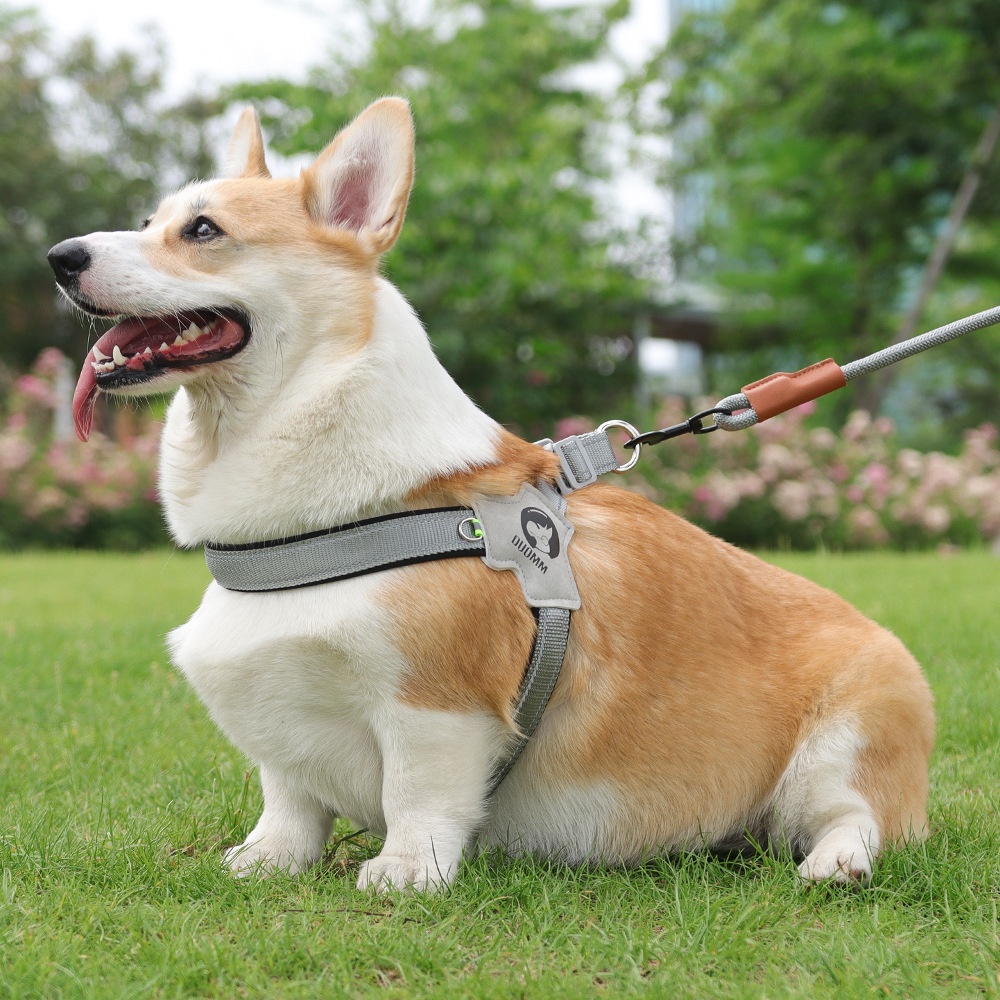Reflektierendes Y-förmiges Anti-Zug-Hundegeschirr für kleine bis große Hunde