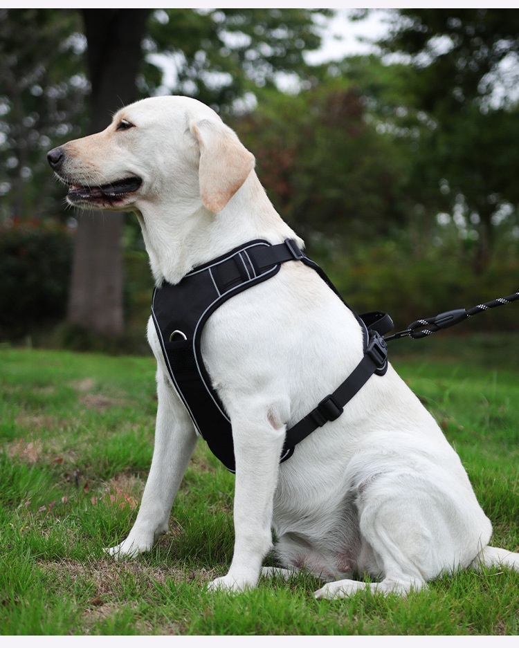No-Pull Dog Harness with AirTag Holder & Reflective Leash