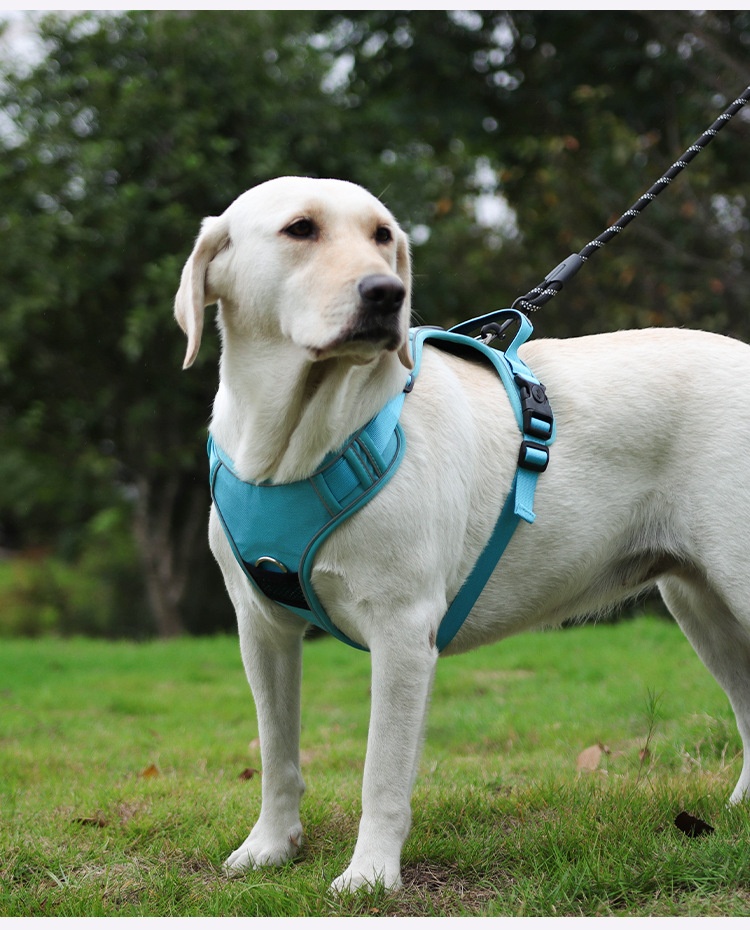 No-Pull Dog Harness with AirTag Holder & Reflective Leash