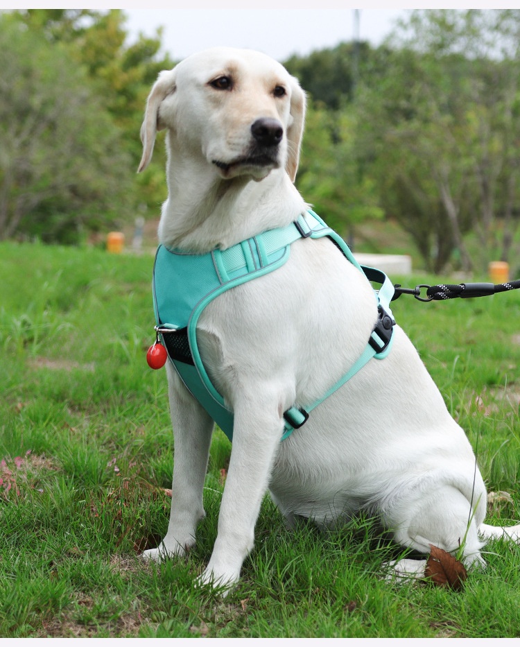 No-Pull Dog Harness with AirTag Holder & Reflective Leash