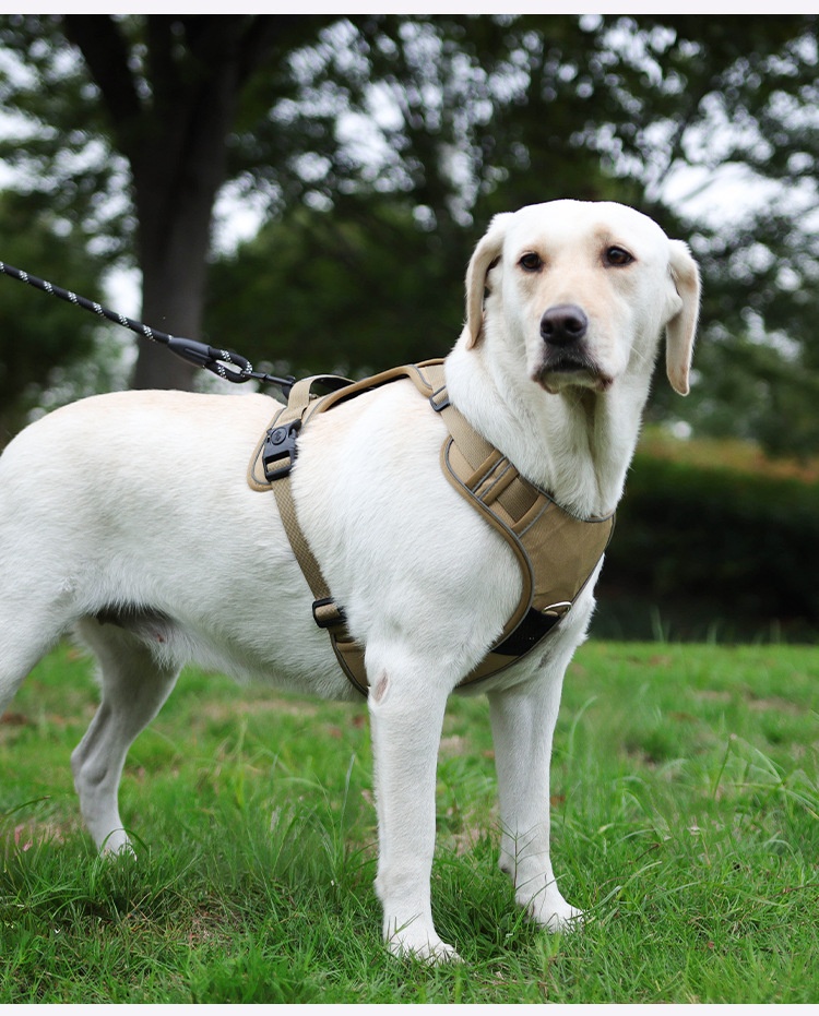 No-Pull Dog Harness with AirTag Holder & Reflective Leash