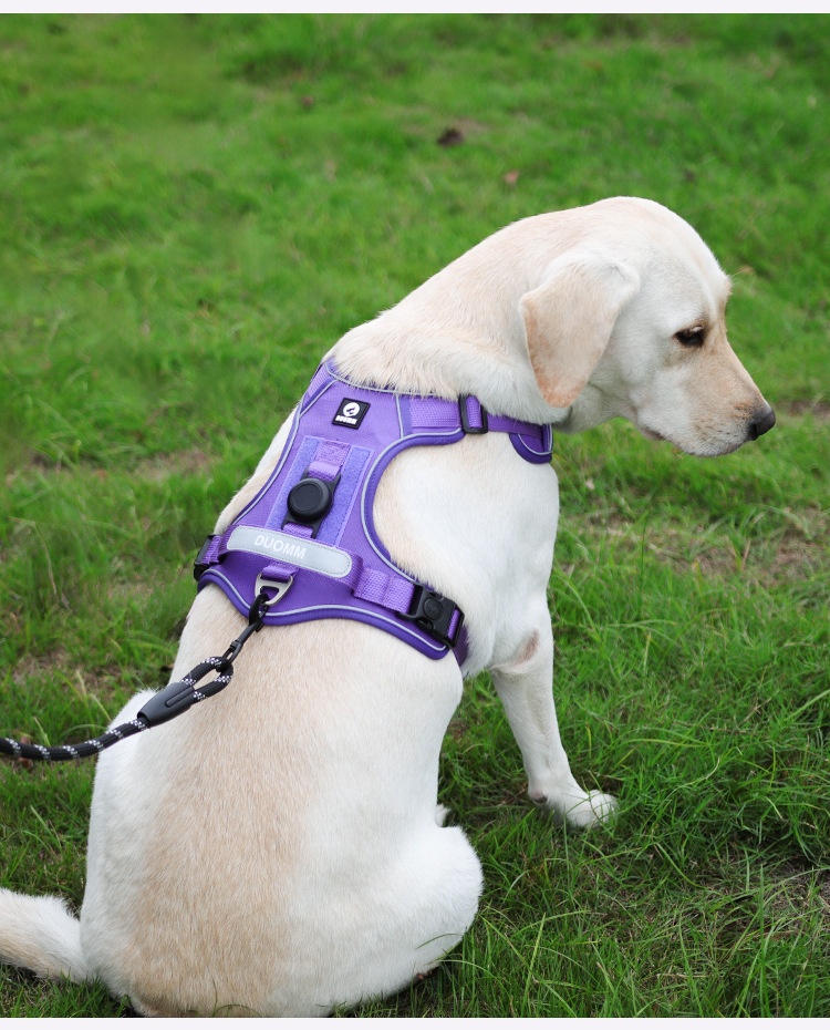 No-Pull Dog Harness with AirTag Holder & Reflective Leash