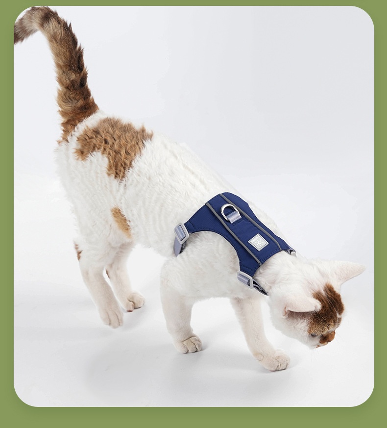 Lightweight Adjustable Cat Harness & Leash Set - Escape Proof