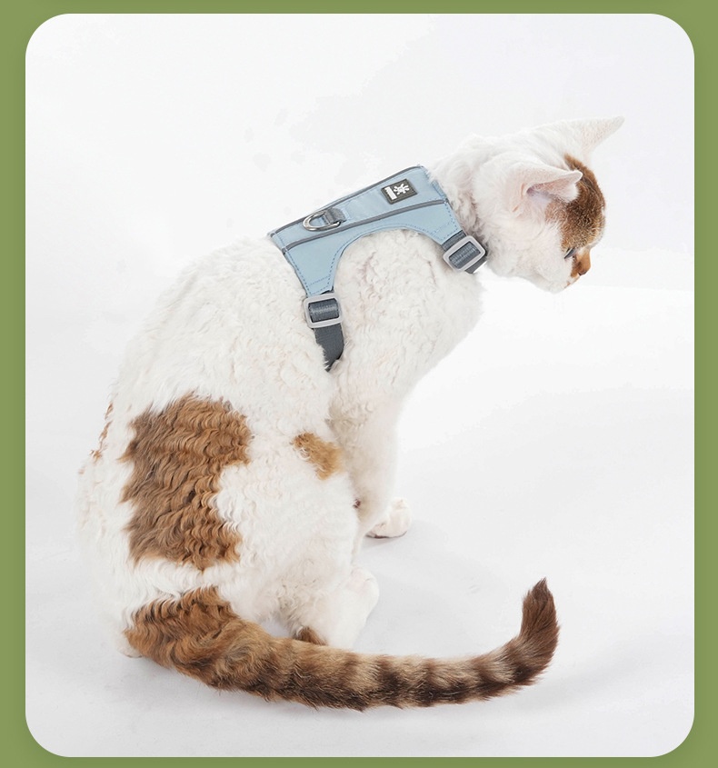 Lightweight Adjustable Cat Harness & Leash Set - Escape Proof