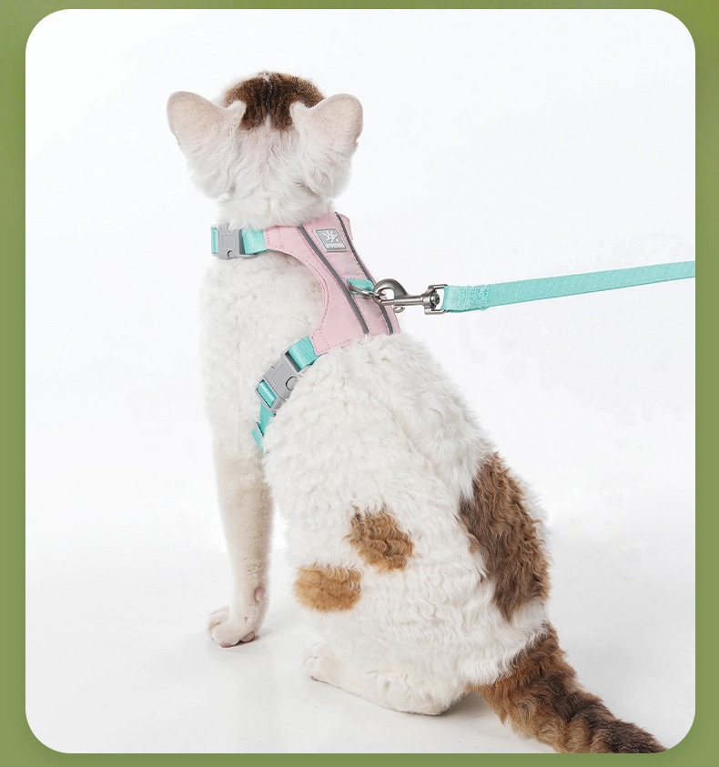 Lightweight Adjustable Cat Harness & Leash Set - Escape Proof
