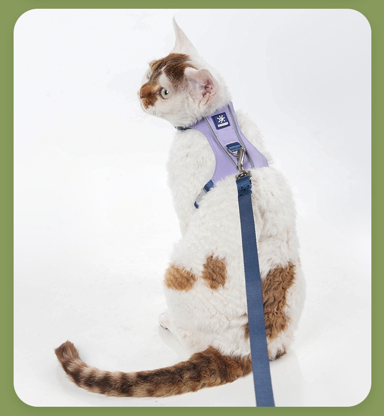 Lightweight Adjustable Cat Harness & Leash Set - Escape Proof