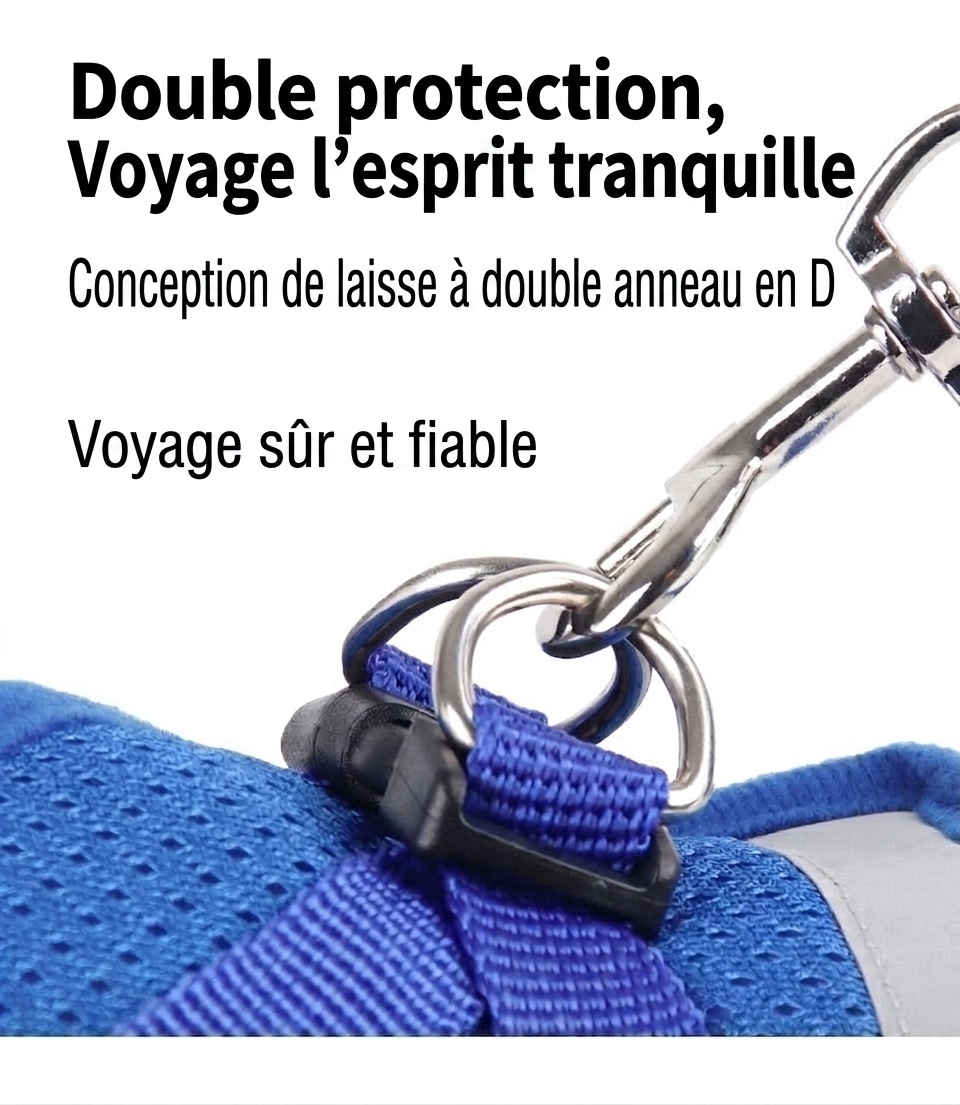 Ensemble harnais et laisse pour animaux de compagnie en maille respirante avec bande réfléchissante