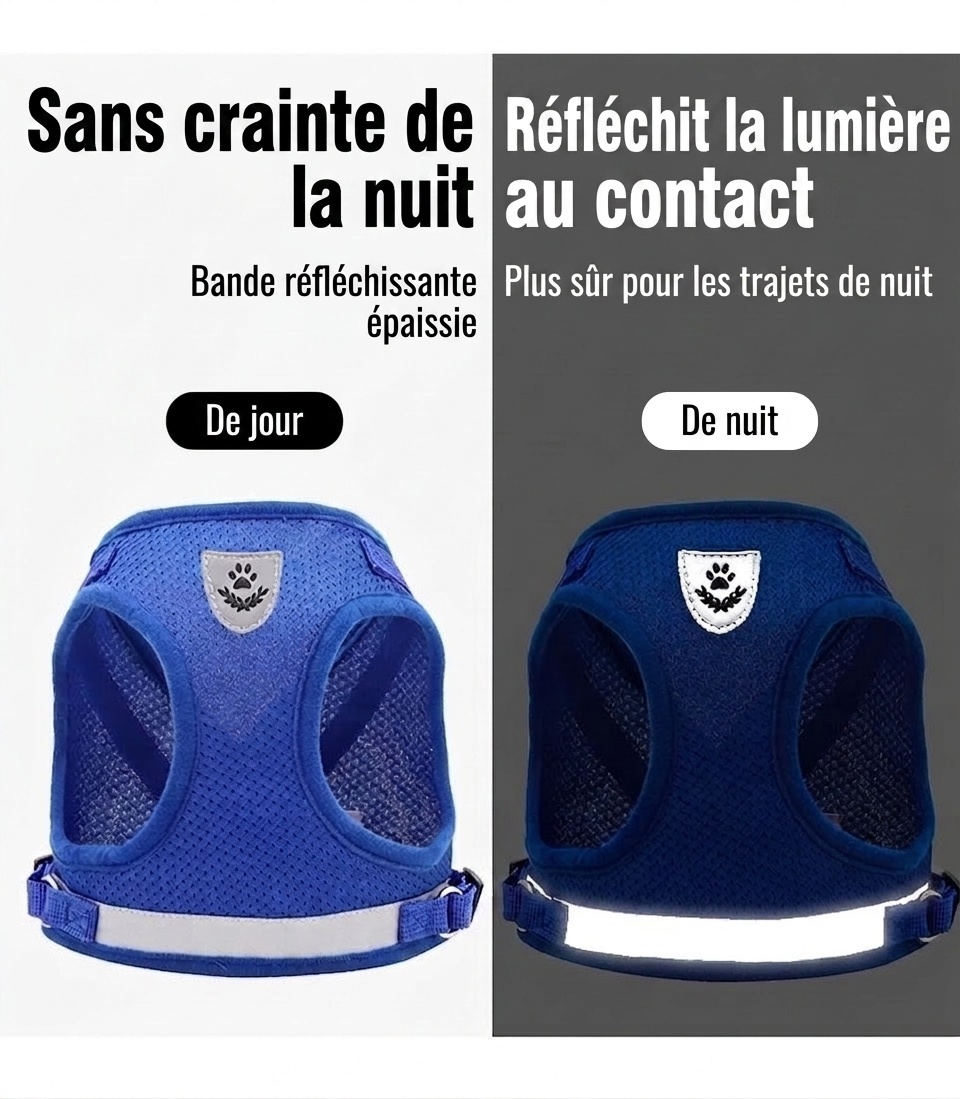 Ensemble harnais et laisse pour animaux de compagnie en maille respirante avec bande réfléchissante