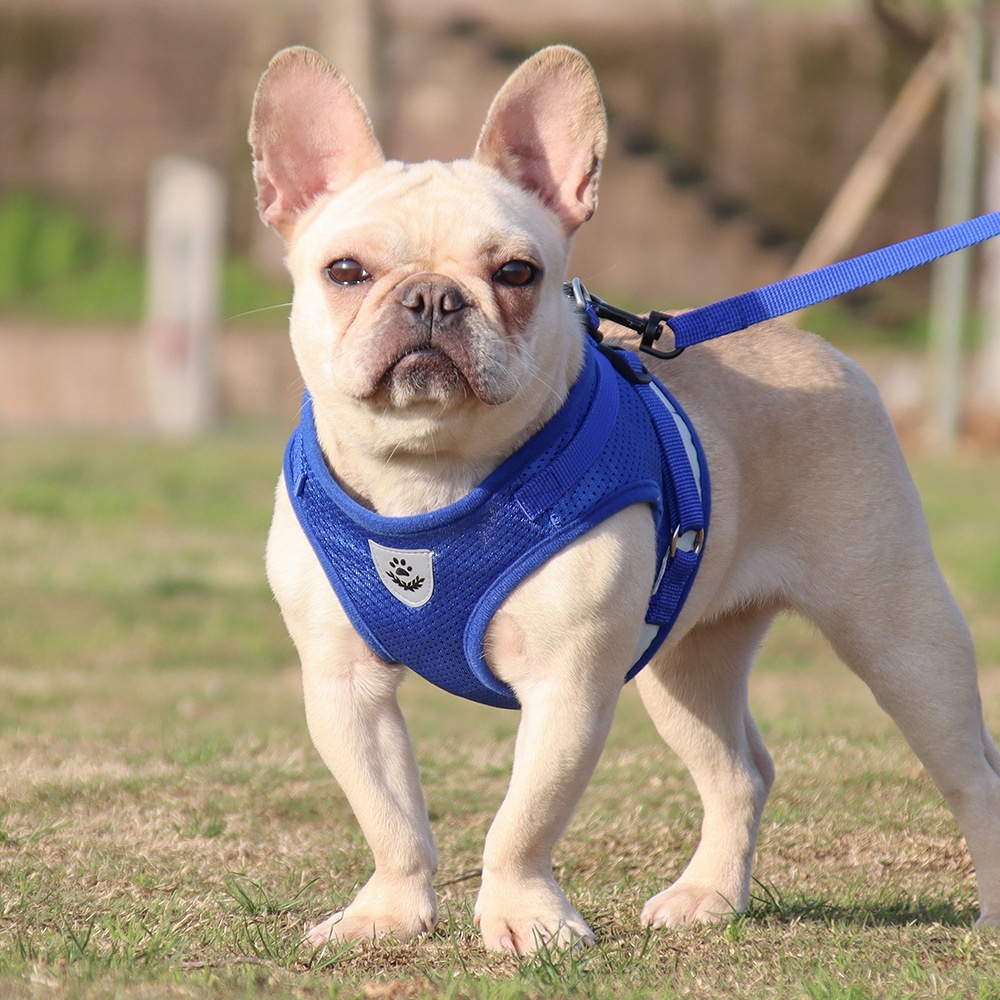 Breathable Mesh Pet Harness & Leash Set with Reflective Strip