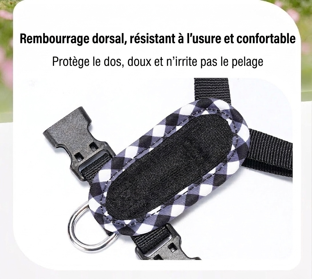 Ensemble harnais et laisse pour chien en maille à carreaux mignons - Respirant et ajustable