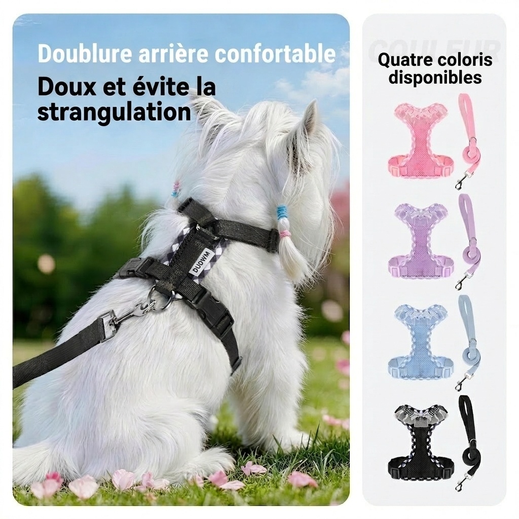 Ensemble harnais et laisse pour chien en maille à carreaux mignons - Respirant et ajustable