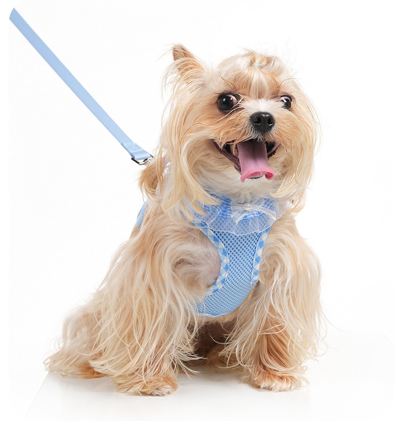Cute Plaid Mesh Dog Harness & Leash Set - Breathable & Adjustable