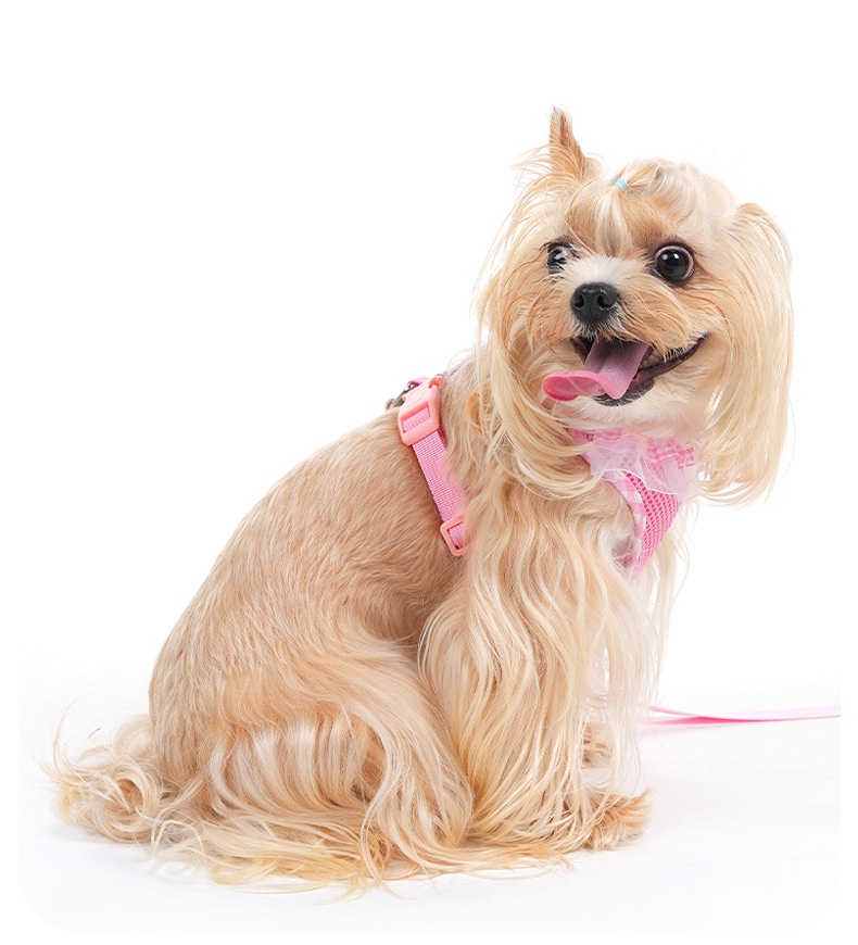 Cute Plaid Mesh Dog Harness & Leash Set - Breathable & Adjustable