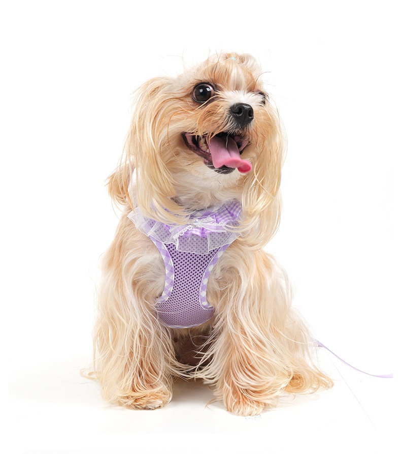 Cute Plaid Mesh Dog Harness & Leash Set - Breathable & Adjustable